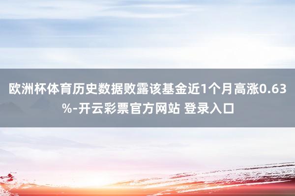 欧洲杯体育历史数据败露该基金近1个月高涨0.63%-开云彩票官方网站 登录入口