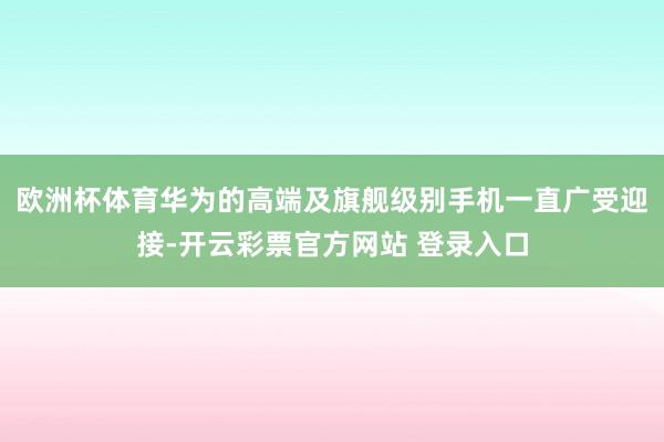 欧洲杯体育华为的高端及旗舰级别手机一直广受迎接-开云彩票官方网站 登录入口