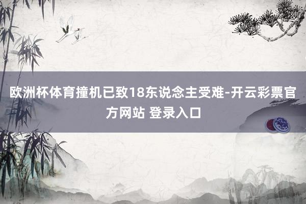 欧洲杯体育撞机已致18东说念主受难-开云彩票官方网站 登录入口