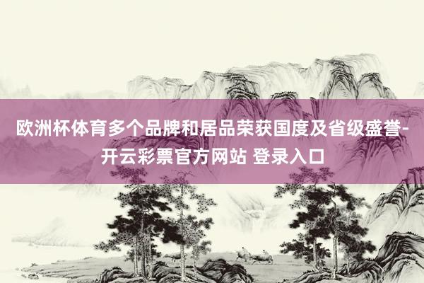 欧洲杯体育多个品牌和居品荣获国度及省级盛誉-开云彩票官方网站 登录入口