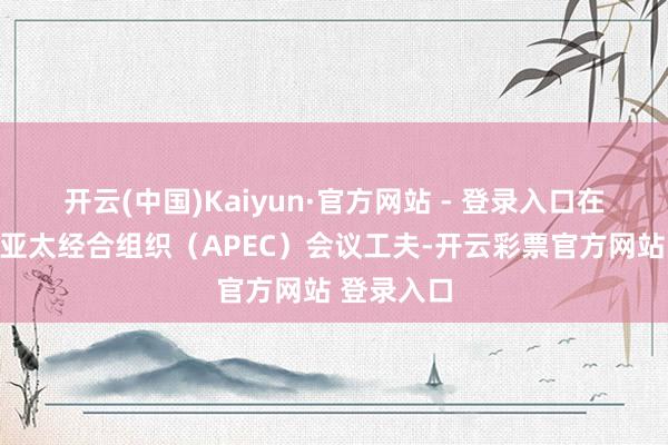 开云(中国)Kaiyun·官方网站 - 登录入口在中国专揽亚太经合组织(APEC)会议工夫-开云彩票官方网站 登录入口